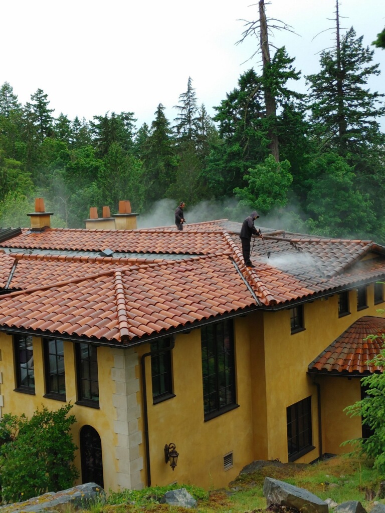 West Vancouver Roof Cleaning Freeflo Home Services