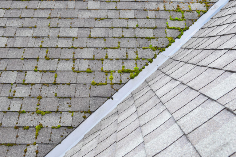 What is Roof Cleaning and Why is it Important for Homeowners?