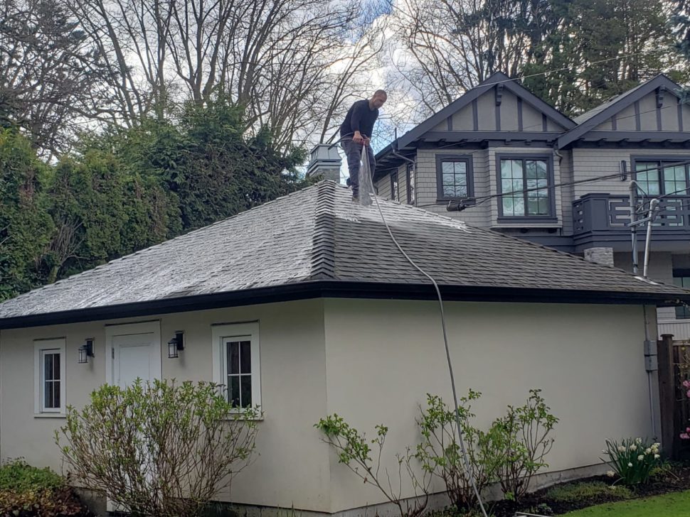 roof cleaning moss treatment services