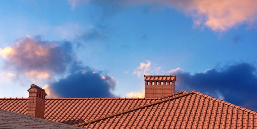 protect your roof and gutter