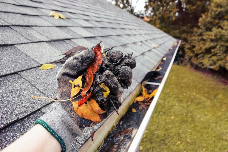 Roof and Gutter Cleaning Solutions