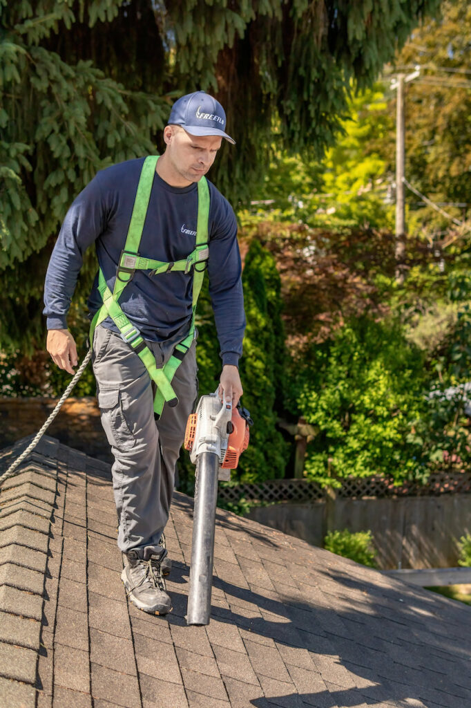 roof cleaning and moss removal