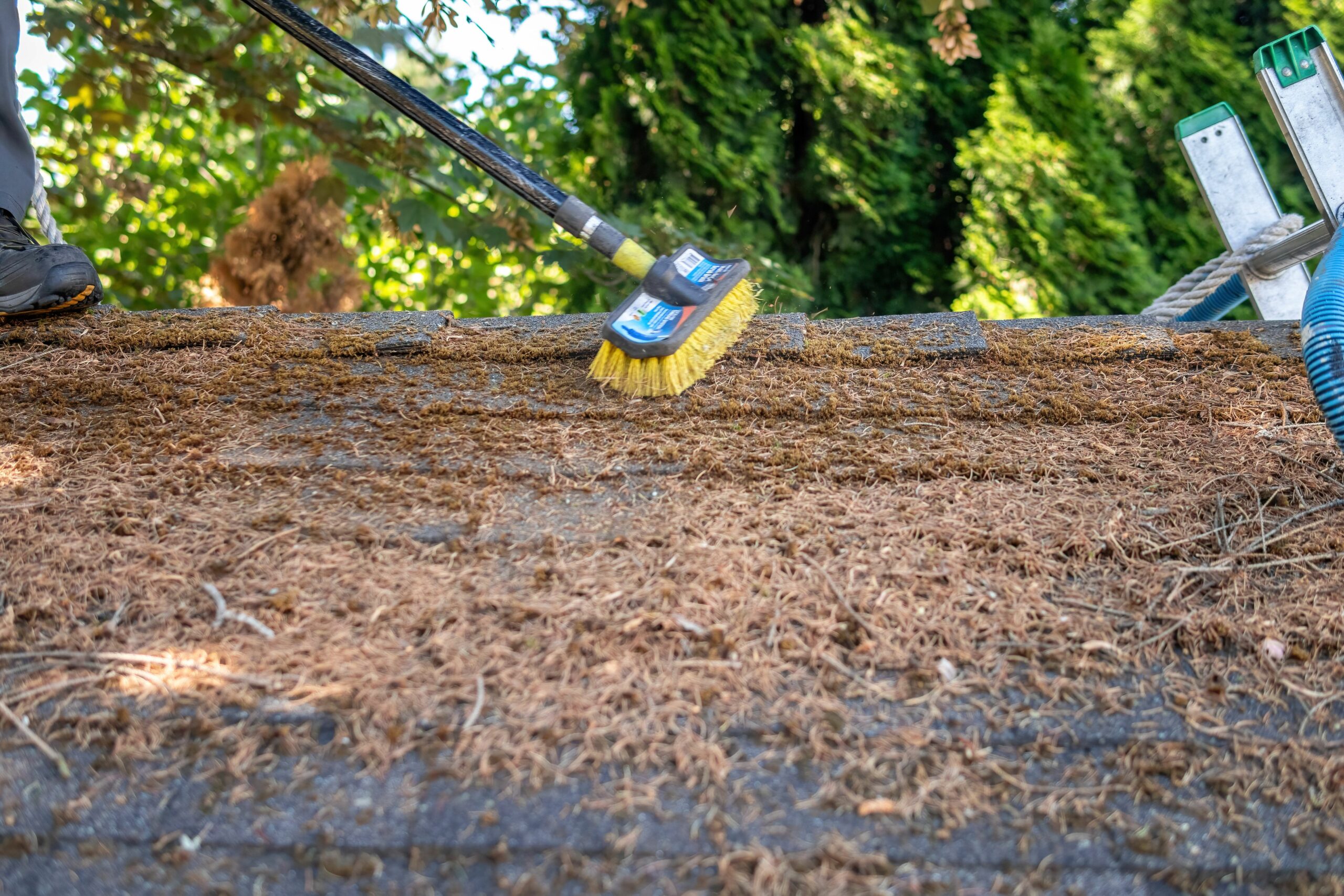 Roof Cleaning, Moss Removal and Treatment Richmond