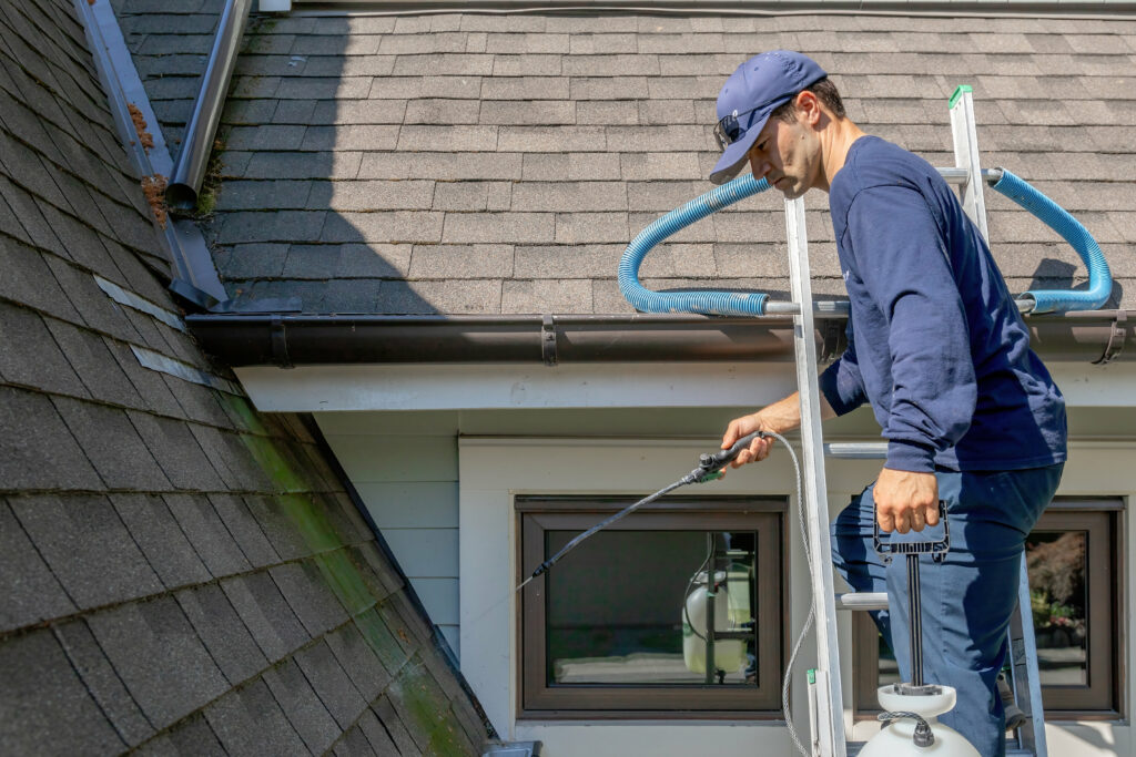 Men Doing Roof Moss Removal
