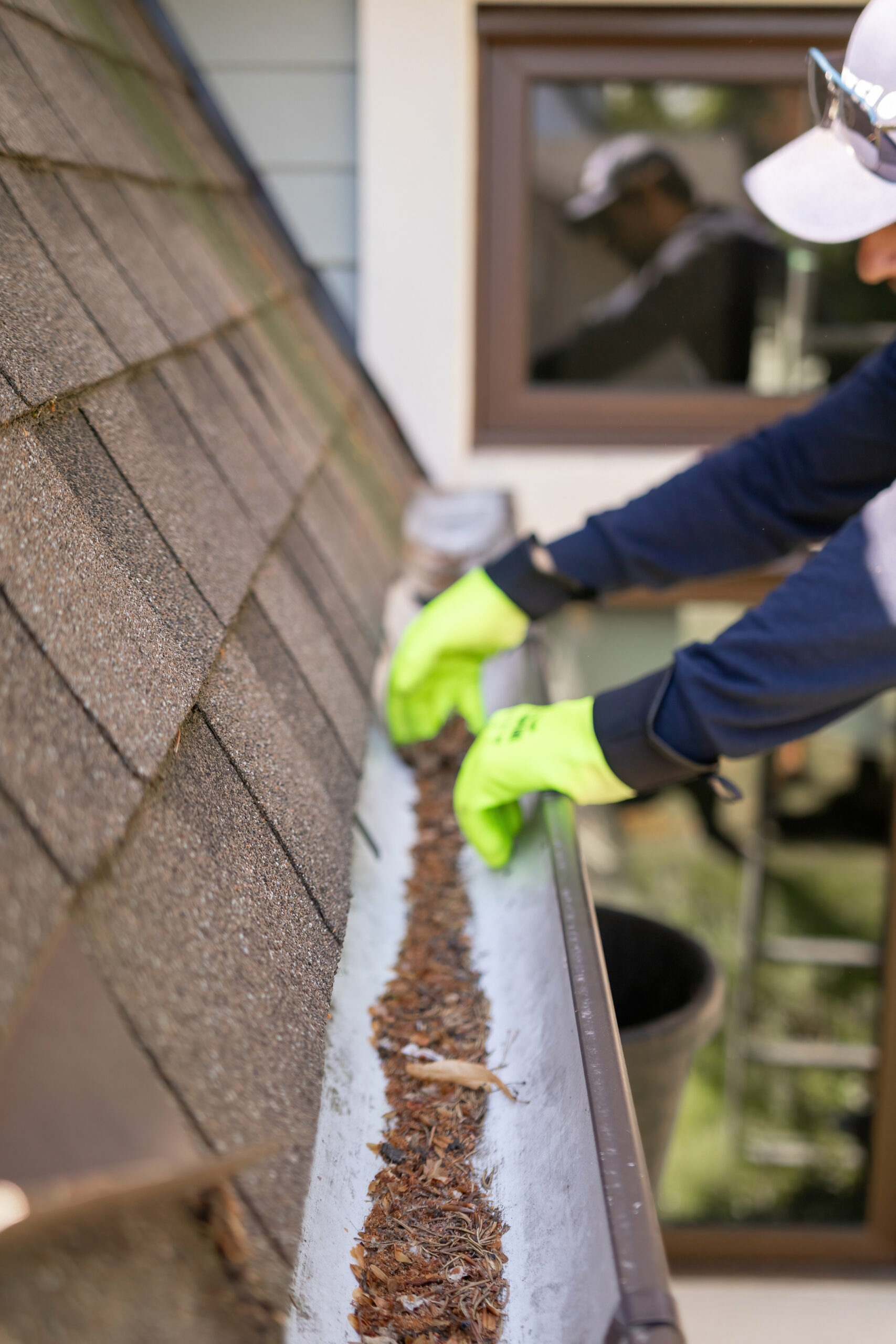 Gutter Cleaning