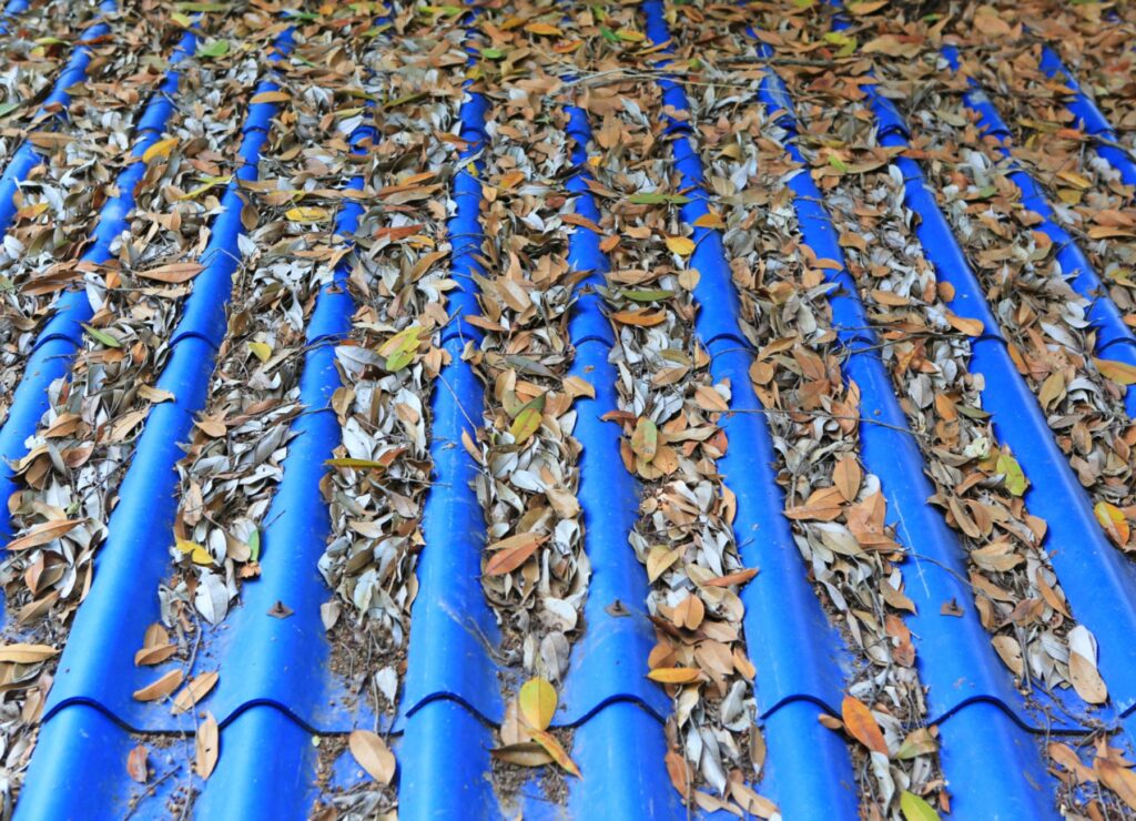 dirty roof full of leaves