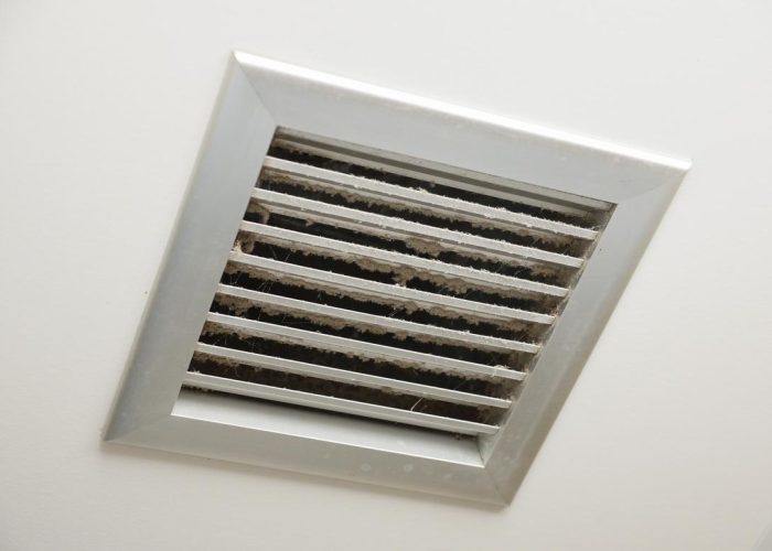 Bathroom Fan Cleaning Richmond