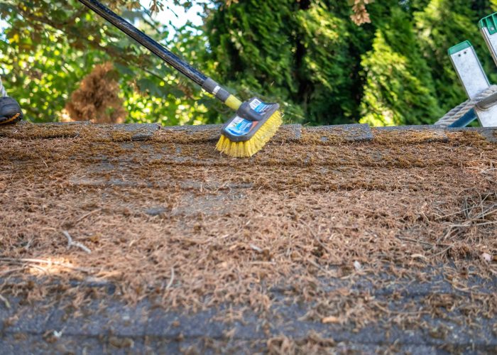roof-moss-removal Roof Cleaning, Moss Removal and Treatment Richmond