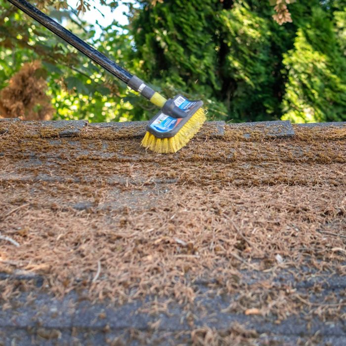 roof-moss-removal Roof Cleaning, Moss Removal and Treatment Richmond